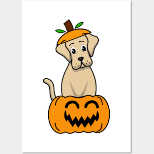 Funny Big Dog is in a pumpkin Posters and Art